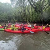 【開催報告】親子で成長する旅育プログラム in 奄美大島